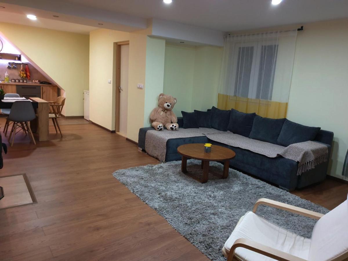 Nikas Apartman Donji Milanovac Eksteriør bilde
